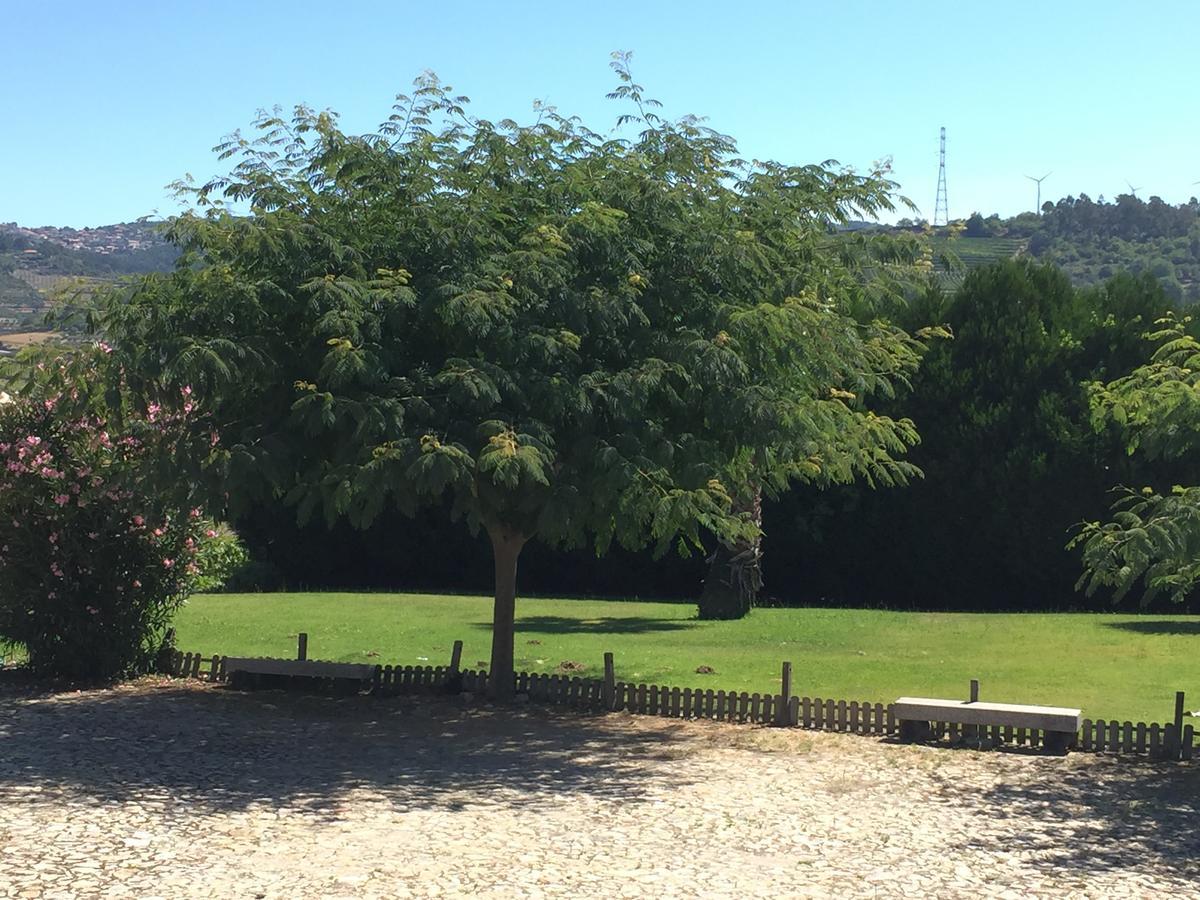 Quinta Da Vinha Morta Bed & Breakfast Lamego Exterior photo